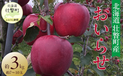 2025年11月初旬よりお届け＞ 北海道壮瞥町 りんご 品種名「おいらせ