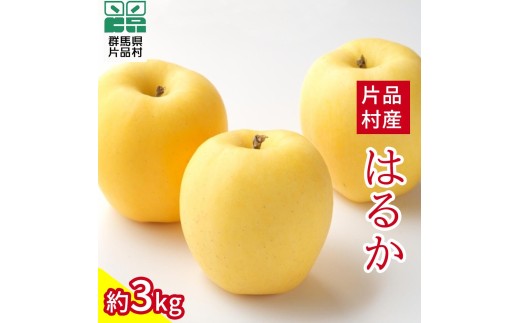 はるか りんご 約3kg - 群馬県片品村｜ふるさとチョイス - ふるさと