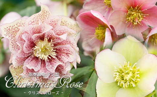 sd1_7b583dc0a1150e93b60b782a1b