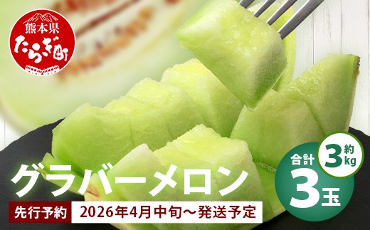 2026年分 予約】 先行予約 グラバーメロン 3玉 (約3kg) 熊本県 多良木