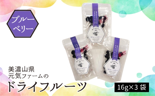 y򕌌RszZRCt@[̃hCt[cウ[@u[x[ [No.1103] ^ t[c ʕ t[c H H ԐH  wV[ Z~hC 򕌌