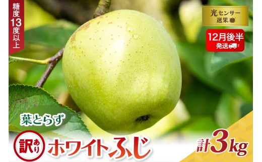 【青森県五所川原市】【2025年12月後半発送】【訳あり】葉とらずホワイトふじ3kg