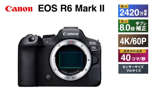 キヤノン EOS R6 Mark II 一眼レフ 一眼レフカメラ Canon キャノン