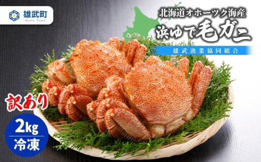 北海道オホーツク 海産 訳あり 浜ゆで毛ガニ 2kg（冷凍）| 毛蟹