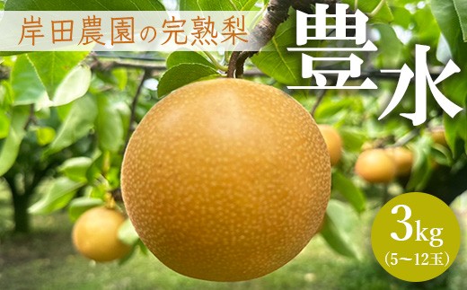 先行予約】岸田農園の完熟梨 豊水【3kg,5-12玉入り】 | 梨 なし 果物