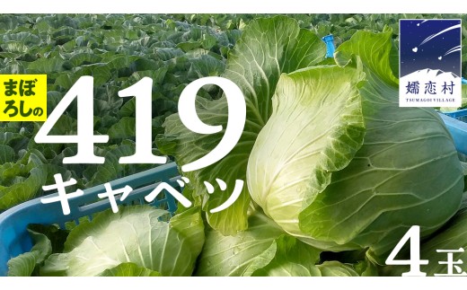 ＊匿名配送＊　たま写真集とポストカード1枚　キャベツ（希少） 匿名配送＊ たま写真集とポストカード1枚 キャベツ（希少） 本