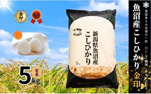 魚沼産コシヒカリ 玄米 高食味米 5kg(5kg×1袋) 令和7年産 金印 ( 一等 