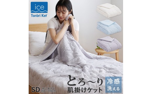 yvĎszACXƂ[Pbg@|zc@Z~_uiO[j_ACX Ƃ[Pbg | zc Z~_u 160 × 200cm J[ O[ LgPbg Ђ ⊴ 􂦂