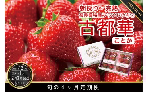 粛粲寶　額装【果物・フルーツ】(新潟県) 粛粲寶 額装【果物・フルーツ】(新潟県) - メルカリ