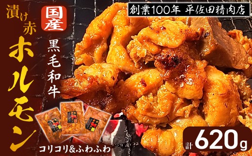 【宮崎県小林市】【数量限定】漬け赤ホルモン620g コリコリミックス(210g×2P)ふわふわ牛腸(200g×1P) 焼肉 BBQ 人気 ホルモン ホルモン焼き ホルモン肉 味付きホルモン 味付けホルモン 味付