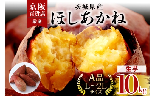 y錧߉ώszySݓXIz錧Yق 10kg [AiL`2LTCY]  ܈ Tc}C ܂ B18-010