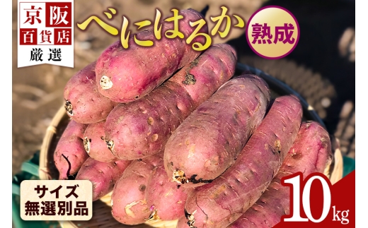 y錧߉ώszySݓXIz錧Yׂɂ͂邩 10kginj[TCYIʕi]  ܈ Tc}C ܂ B18-008
