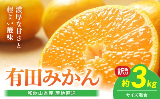 ya̎R󒬁zBL6171_yYnza̎RY Lc݂ 3kg TCY y󂠂z