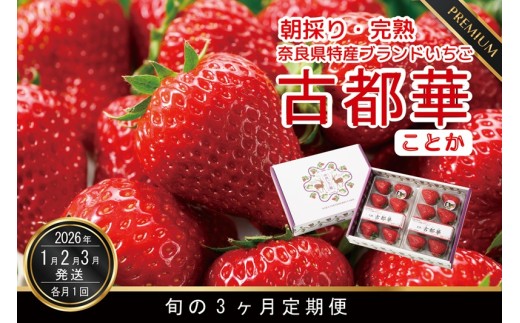 奈良県産　古都華いちご10パック　※新着発送 定期便 先行予約 数量限定 古都華 【1・2・3月発送3ヶ月定期便】奈良県