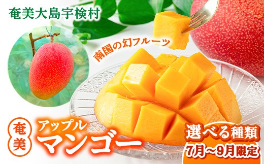 摘果マンゴー約8キロ メキシコ産マンゴー 約5.8kg 10個/ : トロピカルストリーム