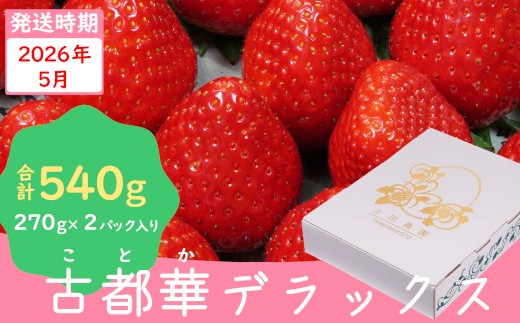 冷蔵）【5月発送分】イチゴ 奈良県産高級ブランド品種「古都華