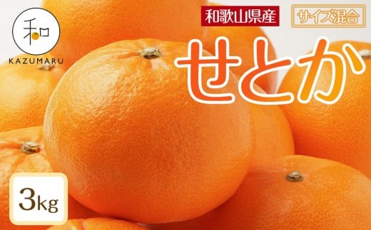 ya̎R쒬zX{_̎I Ƃ 3kg a̎RY TCY mkCEEzsnm2026N2{珇\nmRN130n