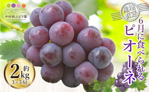 y͎szys\z`Ԃǂ 6ɐHׂԂǂsI[l 3[5[ i2kgj y2026N6{`6{菇\z  Ԃǂ uhE sI[l ʕ 