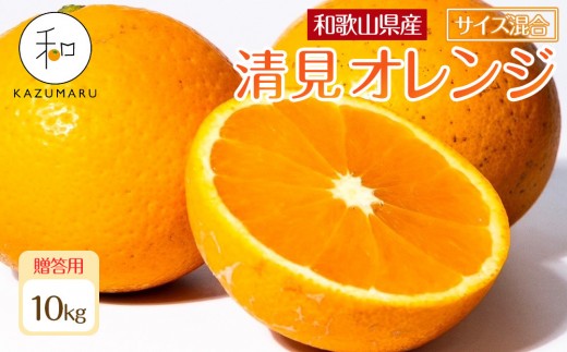 ya̎R쒬zp X{_̎I IIW 10kg a̎RY TCY mkCEEzsnm2026N2{5{\nmRN90n