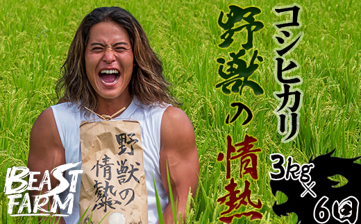 ym{szyߘa7NY Vđ\z RVqJ 3kg x 6 8{甭 I mY V Yn     ͂ RVqJ  _ m {s INN2000