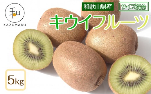 ya̎RCszX{_ LECt[c 5kg a̎RY TCY mkCEEzsnm2026N2{珇nmRN127n