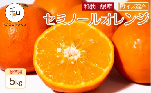 ya̎Rxczp X{_̎I IZ~m[IW 5kg a̎RY TCY mkCEEzsnm2026N4{珇nmRN111n