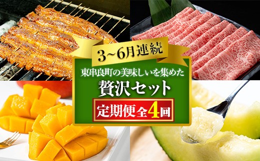 うな様ヘ専用商品 鹿児島県産 山田水産の極上国産うなぎ蒲焼「山田の粋（やまだのいき