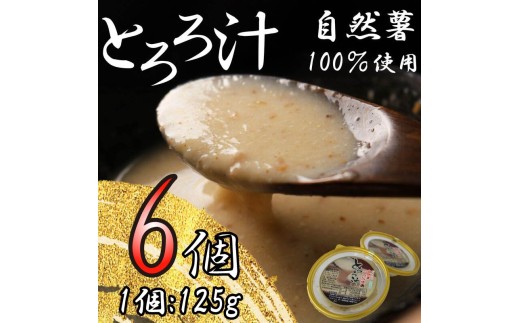 とろろ 冷凍 125g × 6個 自然薯 100％ 小分け セット とろろ汁 長芋