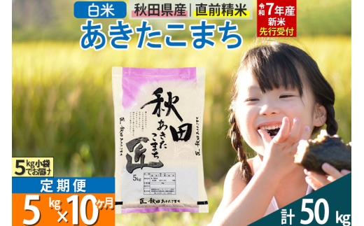 ふるさと納税 ※令和6年産 新米予約※《定期便10ヶ月》通算5回特A 秋田県産ひとめぼれ 計10kg (5kg×2袋) お届け周期調整 隔月もOK【2024年12月頃出荷… ふるさと納税 \u203b令和6年産 新米予約\u203b《定期便10ヶ月》