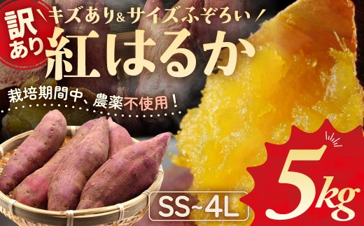 ≪訳あり≫ 栽培期間中農薬不使用 サツマイモ 5kg 紅はるか 無農薬