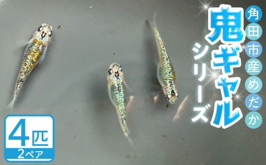 y{錧pcszpcsY߂iSMV[Yj@2yA
