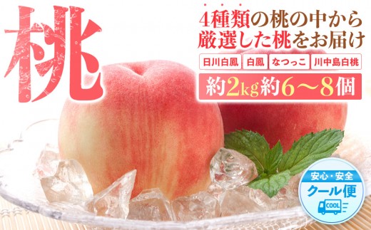 ya̎Rxcz ɏGi 2kg 6`8ms\nm2026N6{珇n_ƌImKG2n