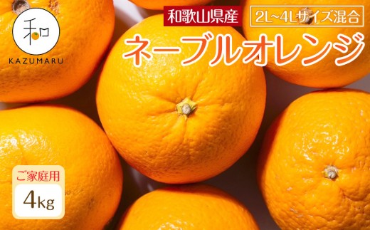 ya̎RxRzƒp X{_̎I ʃl[uIW 4kg a̎RY 2L~4LTCY mkCEEzsnm2026N1{珇nmRN105n