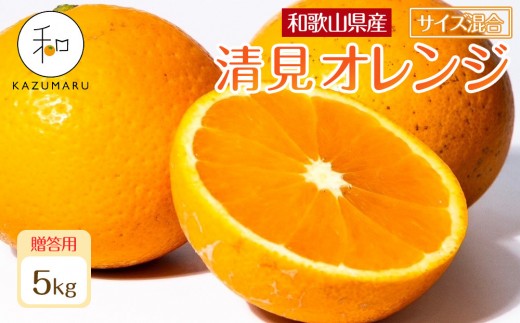 ya̎RxRzp X{_̎I IIW 5kg a̎RY TCY mkCEEzsnm2026N2{5{\nmRN89n