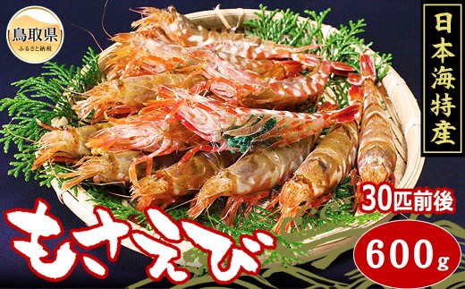 y挧zB24-072 TGr@Ⓚ 挧 