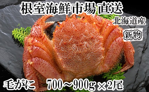 ykCszD-14057y12/10܂ŔNzz {Cт700`900g×2