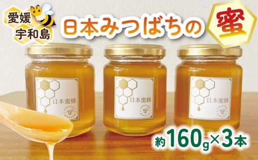 日本蜜蜂 生蜂蜜 ミツバチ 純粋 ニホンみつばち 非加熱 #3 宮城県産