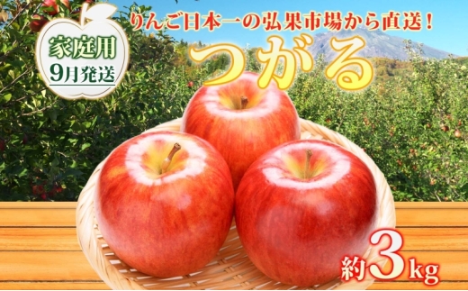 9月発送】家庭用 つがる 約3kg【西目屋村産・青森りんご】 りんご 林檎