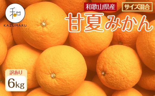 訳あり 森本農園の手選別 甘夏みかん 約6kg 和歌山県産 サイズ混合
