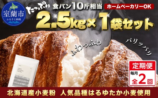 ykCszyցzkCY ͂䂽uh Vo[CYipp͕j2.5kg S2yӂ邳Ɣ[ lC  LO    Vo[CY