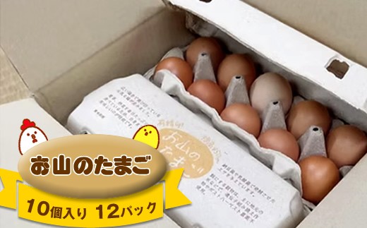 y_ސ쌧RkzR̂܂@POPQpbNy ܂ _ސ쌧 Rk z