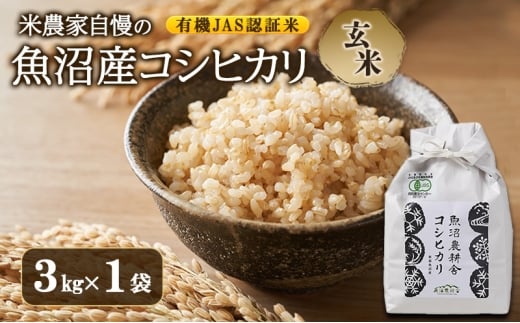 yVsz[5762-1118]yߘa7NYzL@JASFؕ Ĕ_Ǝ Y RVqJ3kg×1    Ђ  L@ V s 