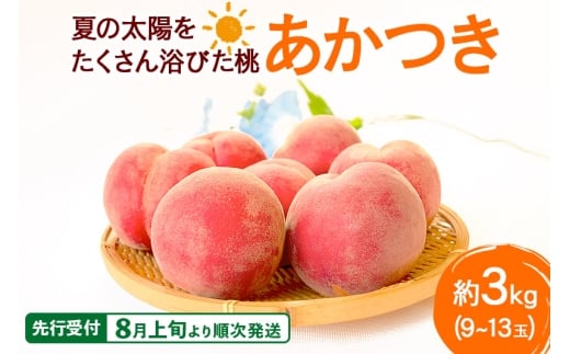 yHcszsstI8{菇tĂ̑z񗁂т  3kgi9`13ʑOj