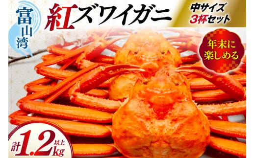 yxRzy2zz Jj xjYC Ⓚ TCY 3t v1.2kgȏ [ xR  34310501-2m] gYCKj xjYCKj g킢