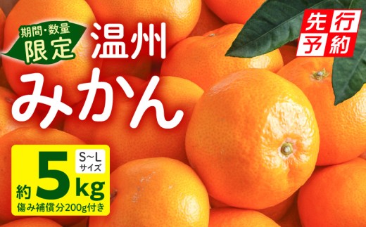 【宮崎県宮崎市】《2025年発送先行予約》【期間・数量限定】温州みかん5kg(傷み補償分200g付き)_M249-001-01