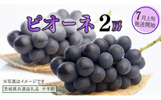 y錧vszsI[l Q[y2026N7{Jnz(錧ʕԗiFq) uhE Ԃǂ  sI[l ʕ t[c ʎ