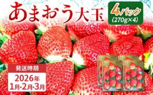 期間限定 いちご あまおう 苺 イチゴ 1kg あまおう（大玉）、4