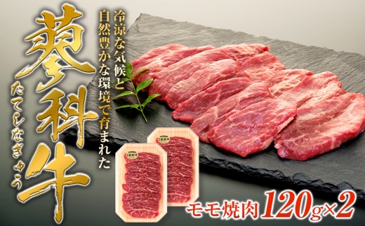 y쌧Ȓzȋē120g×2