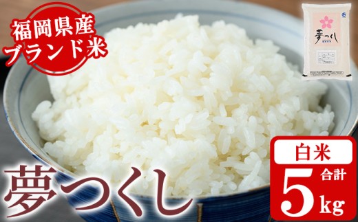 yzsātYuhāuv(5kg)     ͂ ߂  퉷 Y uh 퉷 퉷ۑ ɂ ނ ٓ CXy