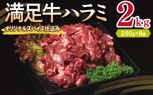 y{򍲖szyn~zIWiXpCXd v2kg yt n~  Ă ȒP BBQ  250g×8Pz